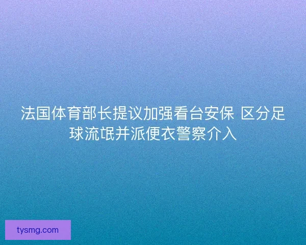 法国体育部长提议加强看台安保 区分足球流氓并派便衣警察介入