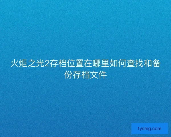 火炬之光2存档位置在哪里如何查找和备份存档文件