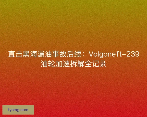 直击黑海漏油事故后续：Volgoneft-239油轮加速拆解全记录